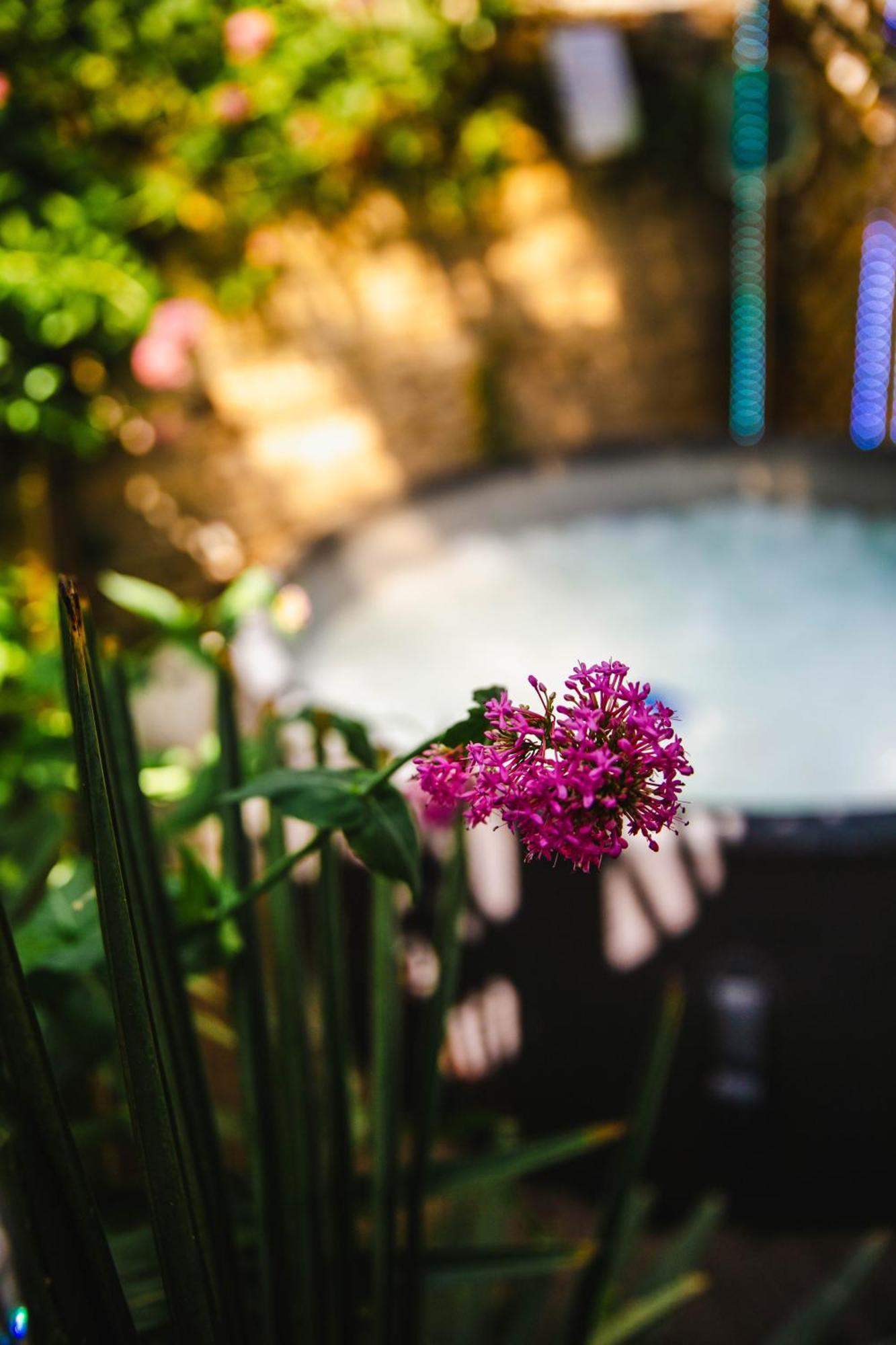 Appartement Fraichement Renovee - Jacuzzi Au Coeur De Caen Exteriér fotografie